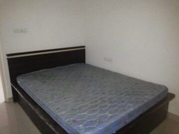 2 BHK Apartment For Rent in Amanora Trendy Homes, Hadapsar