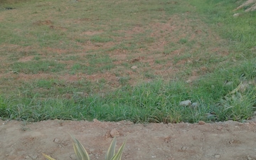 Plot For Sale in Sector 24
