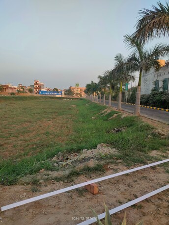 Plot For Resale in Panchkula Urban Estate Panchkula  7889038