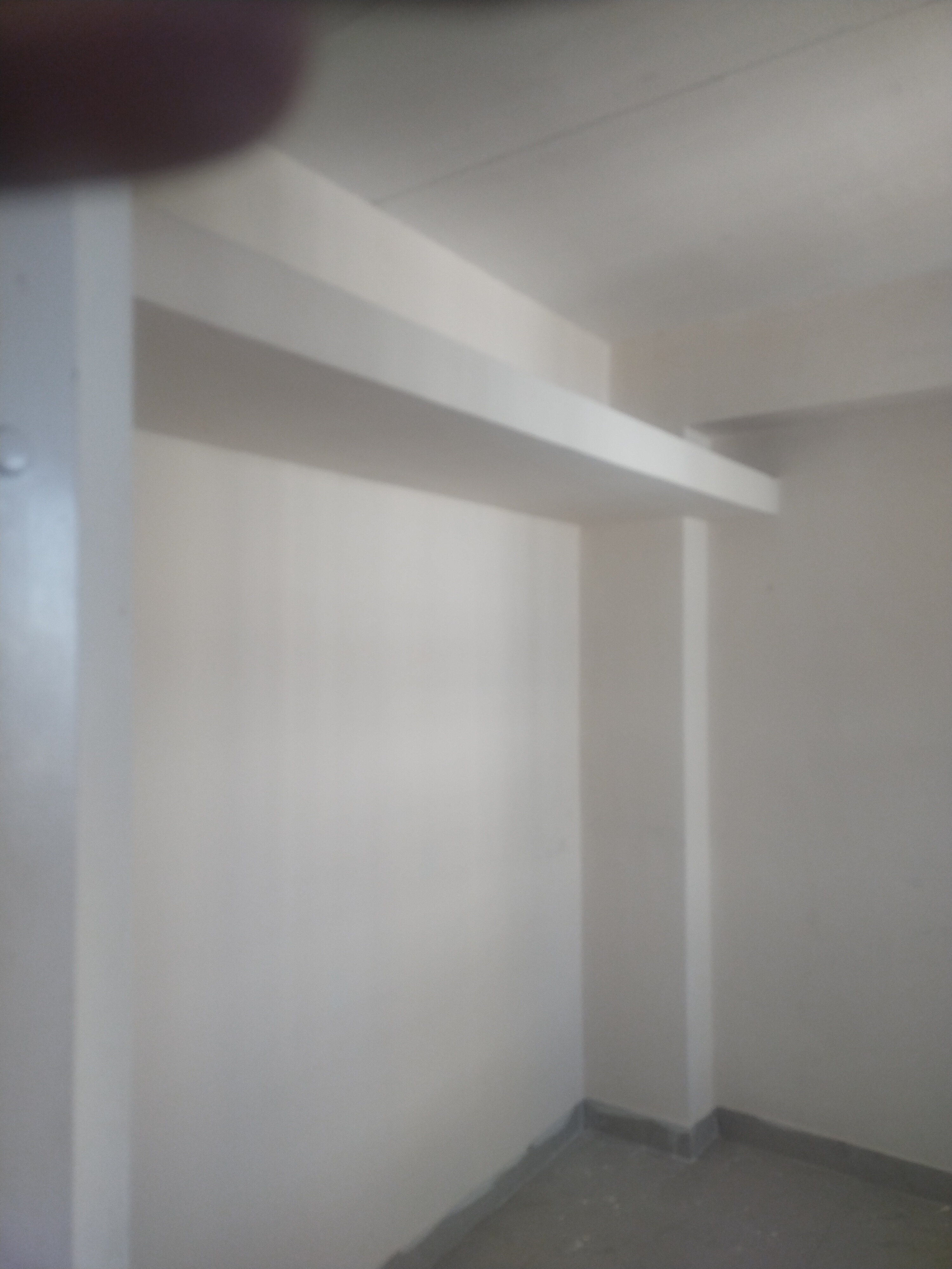 1 BHK Apartment For Rent in Mauli CHS Parel Parel Mumbai  7889196