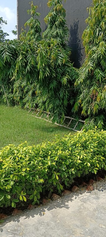 Plot – Garden View at RWA Apartments Sector 47, Sector 47 - for Sale