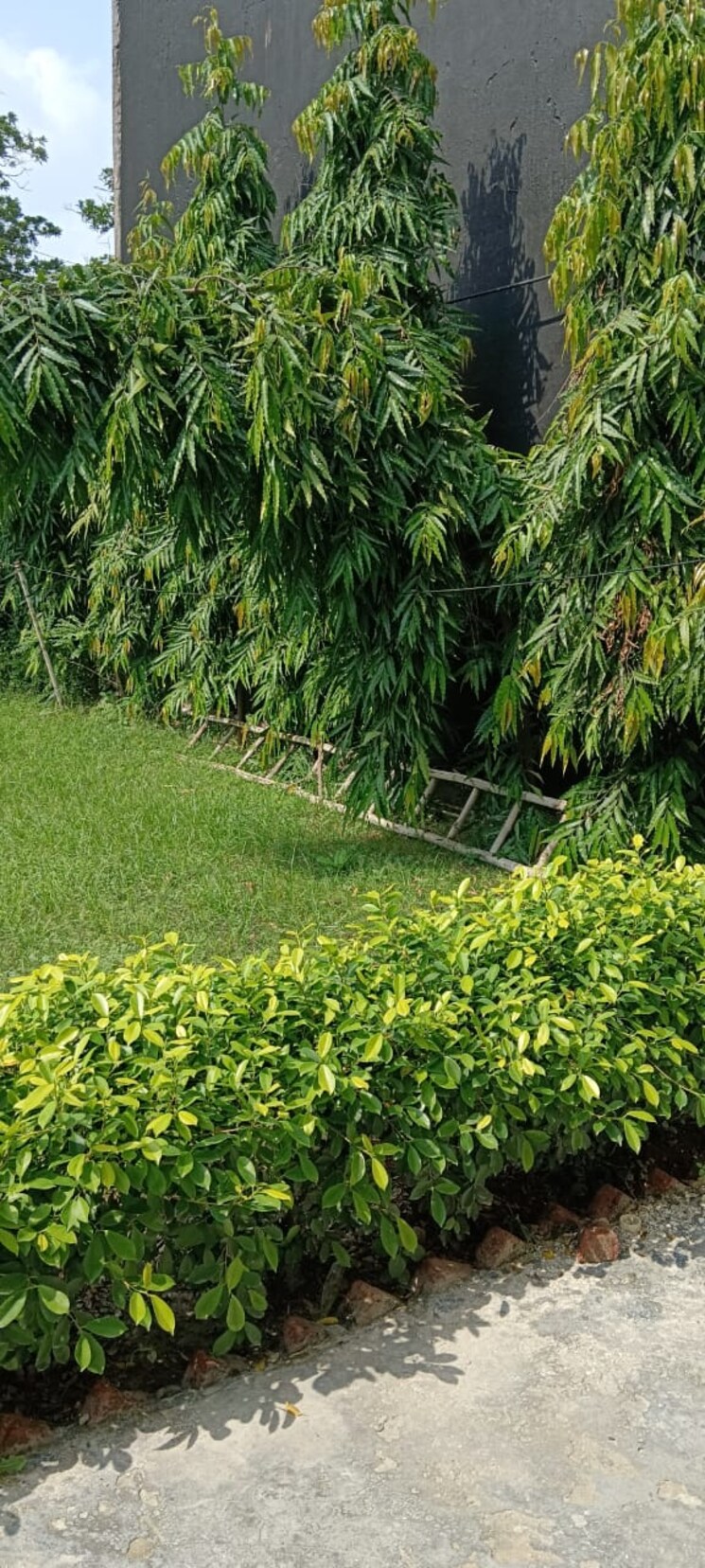 Garden, rwa-apartments-sector-47  450 Sq.Mt. Plot In Sector 47 Noida 7889208