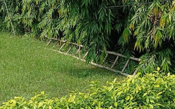 Plot For Sale in Tulip Mall, Sector 46