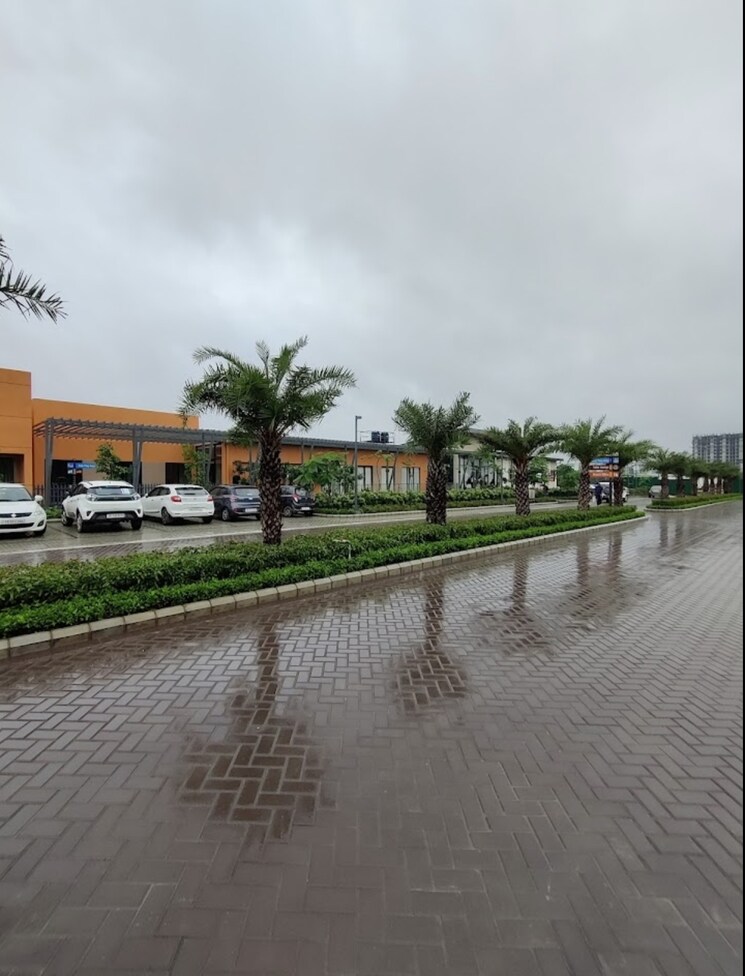 Swimming Pool, ashiana-amarah 3 Bedroom 2100 Sq.Ft. Apartment In Sector 93 Gurgaon 7889411