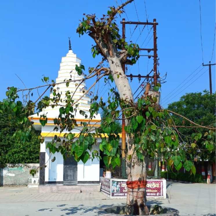 Exterior View, mawana  110 Sq.Yd. Plot In Mawana Meerut 7889436