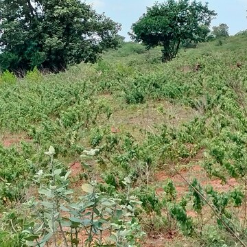  Plot For Sale in Bibinagar