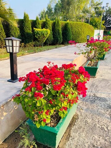  Plot – Garden View at UPAVP Vrindavan Yojana, Vrindavan Yojna - for Sale