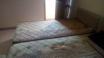 1 BHK Independent House For Rent in Sector 22 Chandigarh  7889592