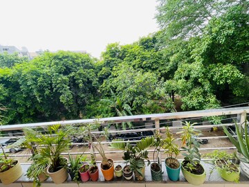 2 BHK Builder Floor – Garden View at Sector 40 - for Rent