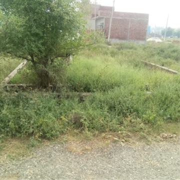  Plot For Sale in Sector 65
