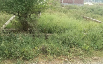 Plot For Sale in Sector 65
