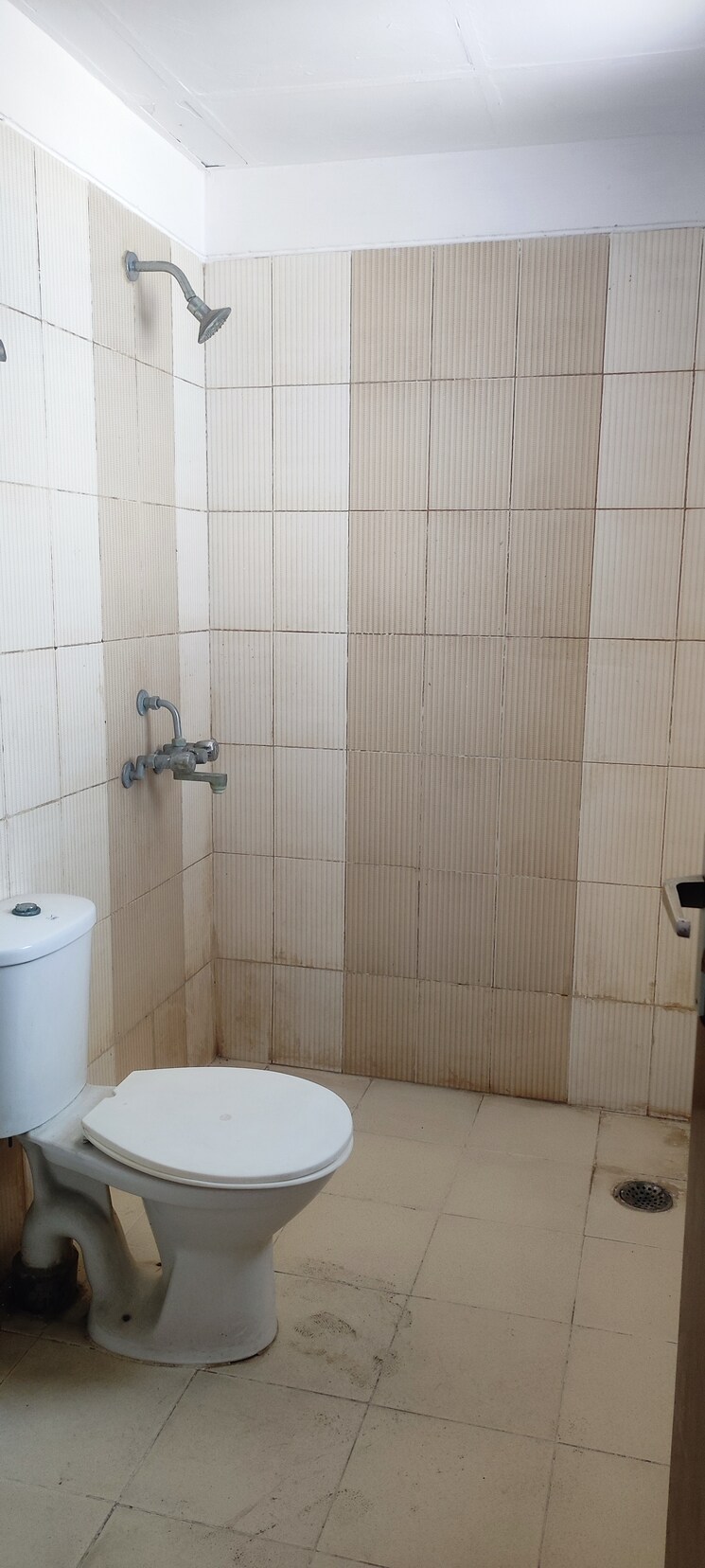 Bathroom, bptp-parkland-sector-82 4 Bedroom 300 Sq.Yd. Builder Floor In Sector 82 Faridabad 7890111