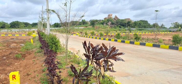 Garden, sunrise-golden-galaxy  166 Sq.Yd. Plot In Shadnagar Hyderabad 7890334