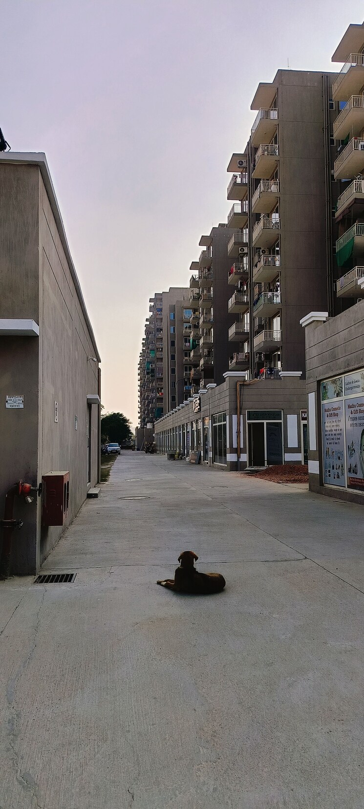 Exterior View, conscient-habitat-residences Commercial Shop 245 Sq.Ft. In Sector 78 Faridabad 7890372