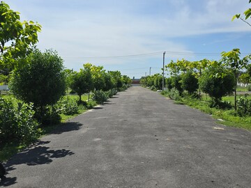  Plot – Exterior View View at Karakambadi Road - for Sale