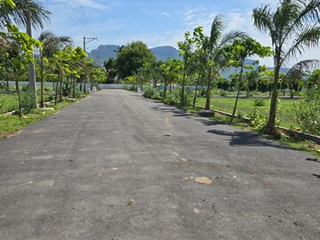  Plot – Exterior View View at Karakambadi Road - for Sale