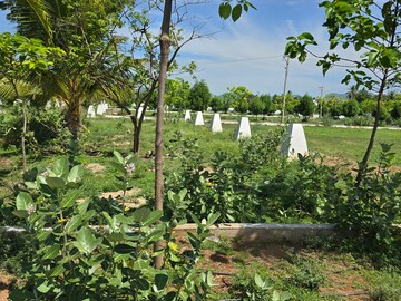  Plot – Exterior View View at Karakambadi Road - for Sale