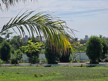  Plot – Exterior View View at Karakambadi Road - for Sale