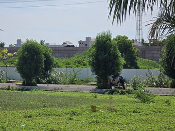  Plot – Exterior View View at Karakambadi Road - for Sale