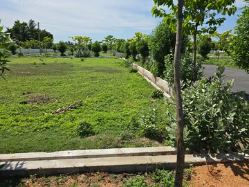  Plot – Exterior View View at Karakambadi Road - for Sale
