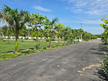 Plot Area in  Plot at Vidya Nagar Colony – for Sale