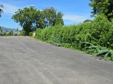   Plot at Vidya Nagar Colony – for Sale