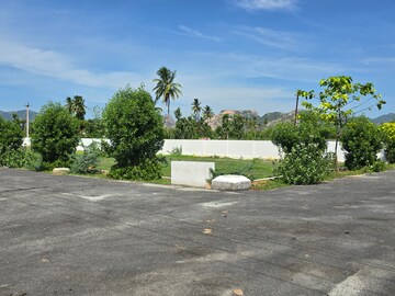 Plot Area in  Plot at Vidya Nagar Colony – for Sale