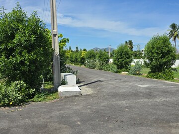  Plot – Exterior View View at Vidya Nagar Colony - for Sale