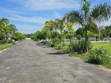   Plot at Vidya Nagar Colony – for Sale
