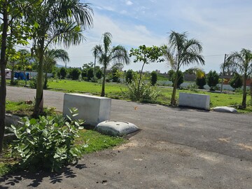 Plot Area in  Plot at Vidya Nagar Colony – for Sale
