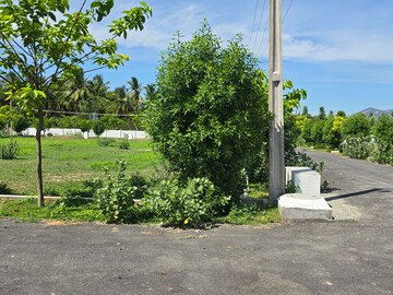  Plot – Garden View at Vidya Nagar Colony - for Sale