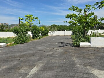  Plot – Exterior View View at Vidya Nagar Colony - for Sale