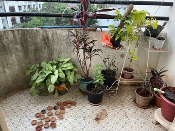 Balcony in 2 BHK Apartment at Ganesham Phase I, Pimple Saudagar – for Rent
