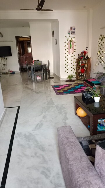 Living Room in 3 BHK Builder Floor at Sector 40 – for Rent