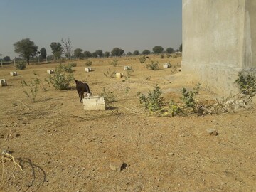 Plot Area in  Plot at Ajmer Road – for Sale