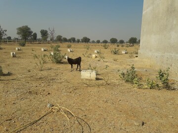 Plot Area in  Plot at Ajmer Road – for Sale