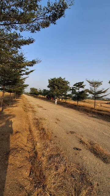Plot Area in  Plot at Shankarpalli – for Sale