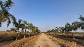 Plot Area in  Plot at Shankarpalli – for Sale