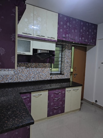 3 BHK Apartment For Rent in Trifecta Verdure Chikkakannalli Bangalore  7890543