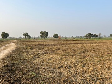 Plot Area in  Plot at Bathain Kalan – for Sale
