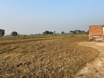 Plot Area in  Plot at Bathain Kalan – for Sale