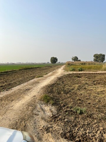 Plot Area in  Plot at Bathain Kalan – for Sale