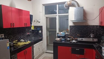 3 BHK Apartment For Rent in Ajnara Gen X Dundahera Ghaziabad  7891211