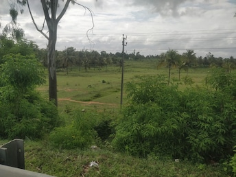 Plot For Resale in Hebbal Bangalore  7891413