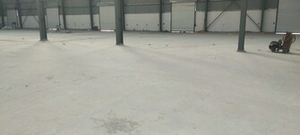 Commercial Warehouse 33000 Sq.Ft. For Rent in Airport Road Bhopal  7891504