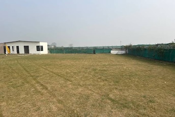 Commercial Land 1008 Sq.Ft. For Resale in Sector 135 Noida  7863093