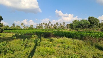 Plot Area in  Plot at Vijaypura – for Sale