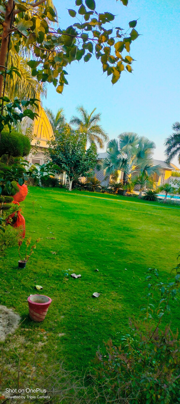 Garden, a2z-green-estate  167 Sq.Yd. Plot In Modipuram Meerut 7891966