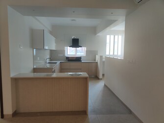 4 BHK Apartment For Rent in Rajmahal Apartments Sadashiva Nagar Sadashiva Nagar Bangalore  7892108