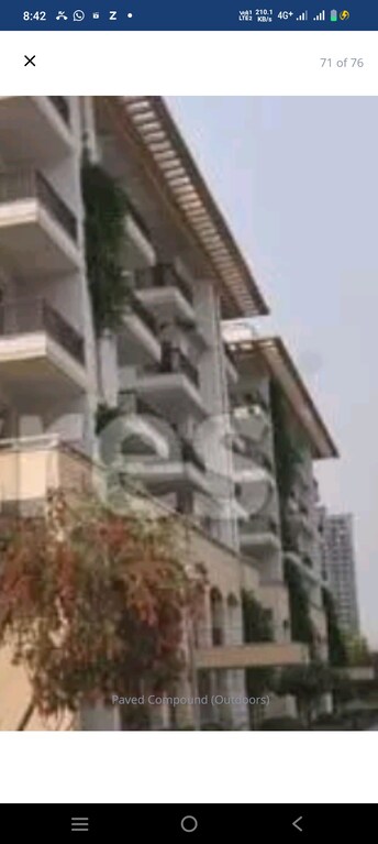 4 BHK Apartment For Rent in Jaypee Augusta Town Homes Sector 128 Noida  7892462